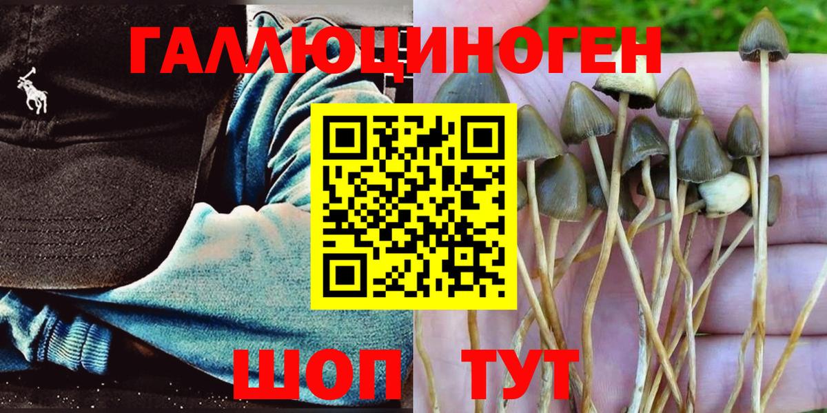 Галлюциногенные грибы мицелий  магазин продажи наркотиков  Вход с VPN  Феодосия  Псилоцибиновые грибы мицелий 